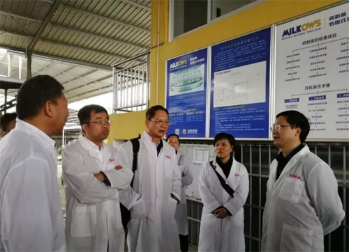 百乐博-非凡想象力,引发无限可能