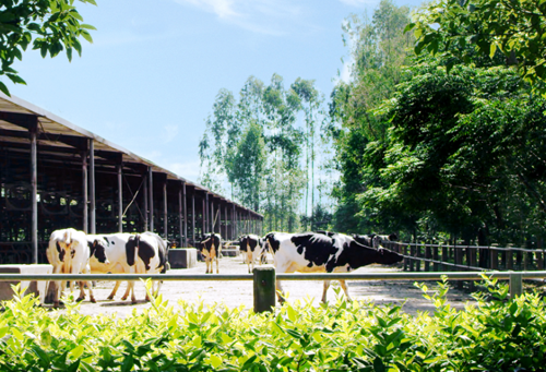 百乐博-非凡想象力,引发无限可能