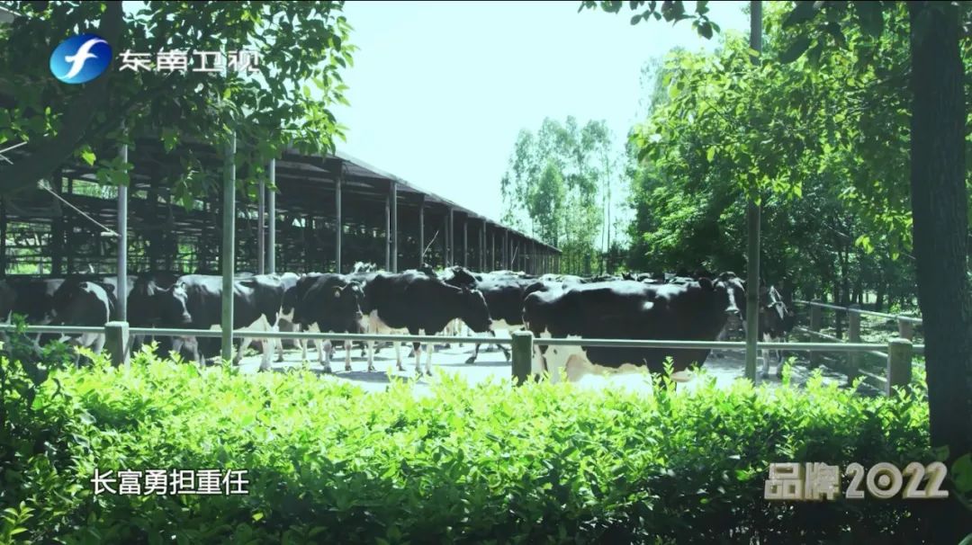 百乐博-非凡想象力,引发无限可能